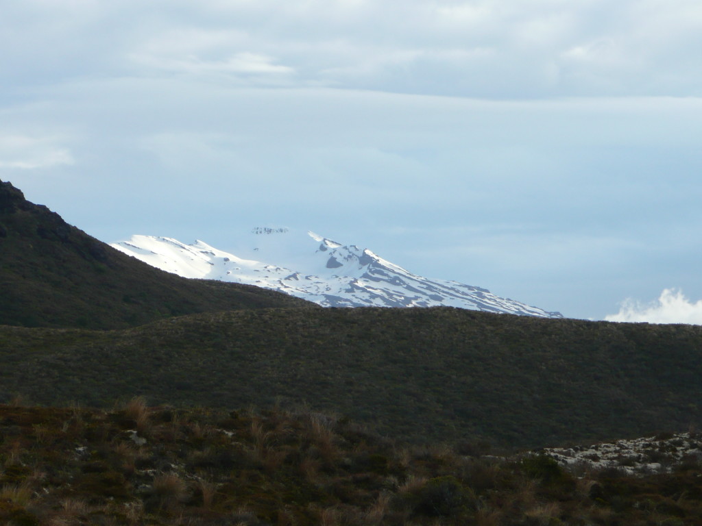 P1130651