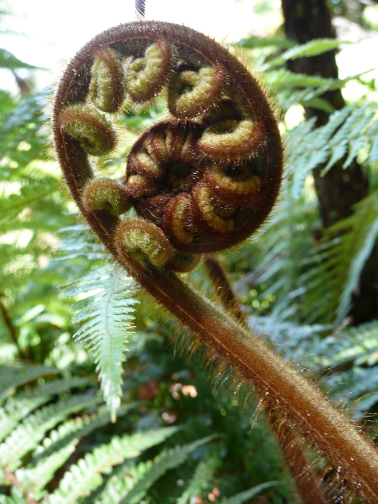 P1140225