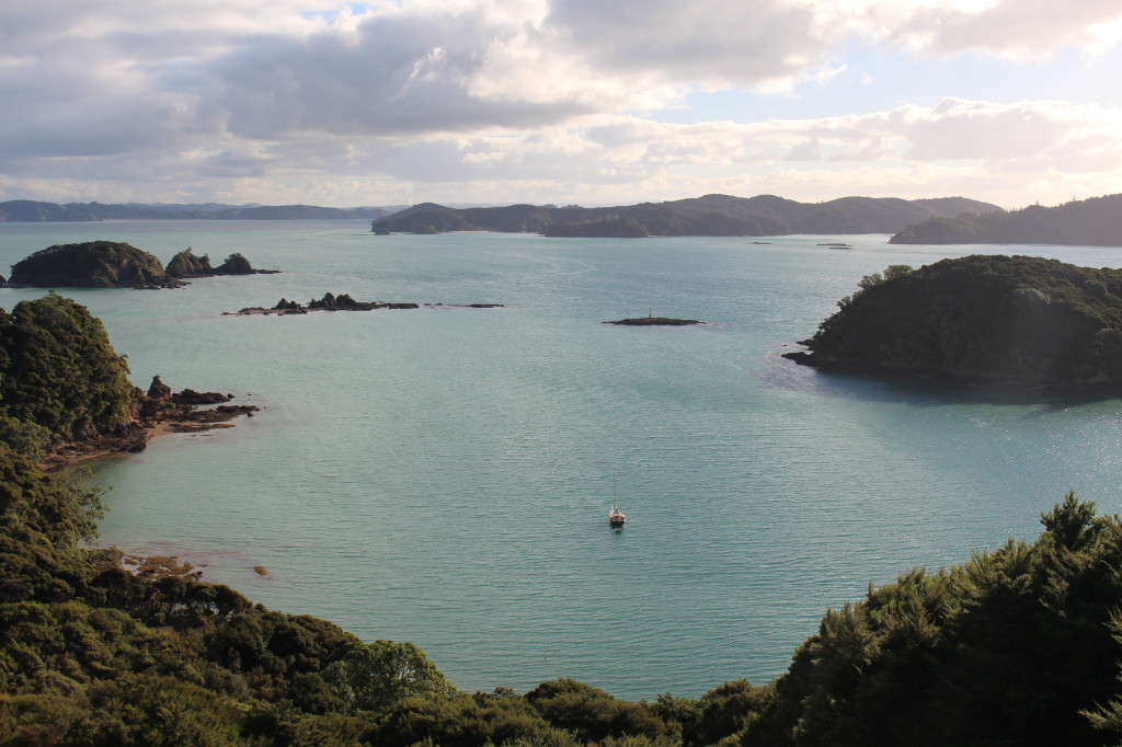 View from one of the hill tops on Urupukakapuka Island.