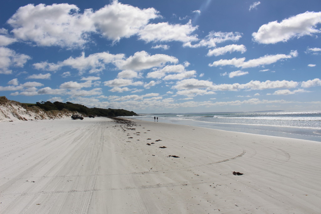 Rarawa Beach and it's long strand of fine white sandy beach.