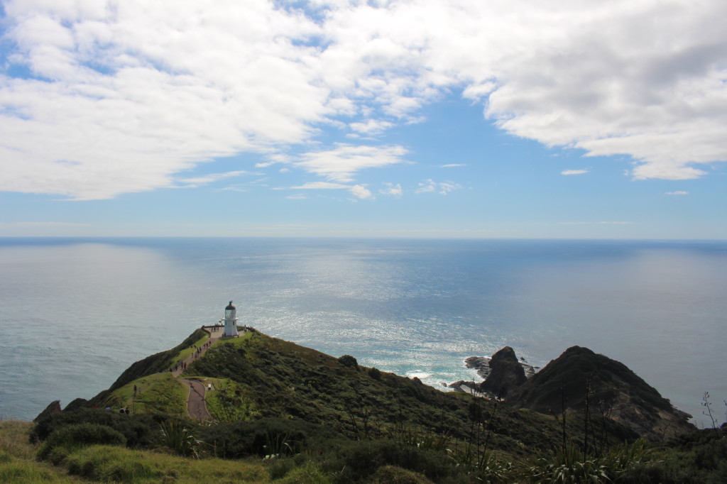 Cape Reinga lighthouse in the distance.  The meeting of the Tasman Sea and Pacific Ocean in the background.