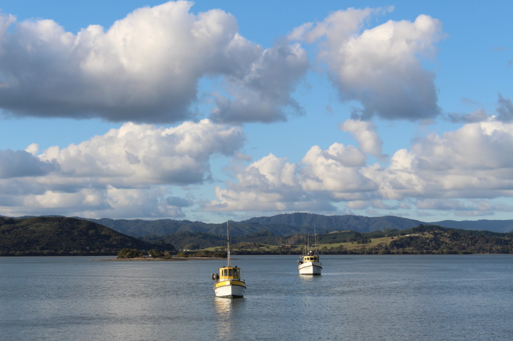 Hokianga harbour on Kohukohu side of the harbour.