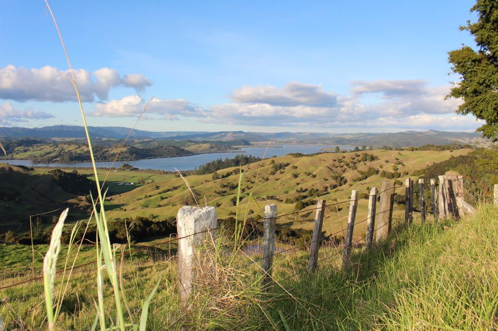 Some gorgeous looking countryside overlooking the Hokianga.