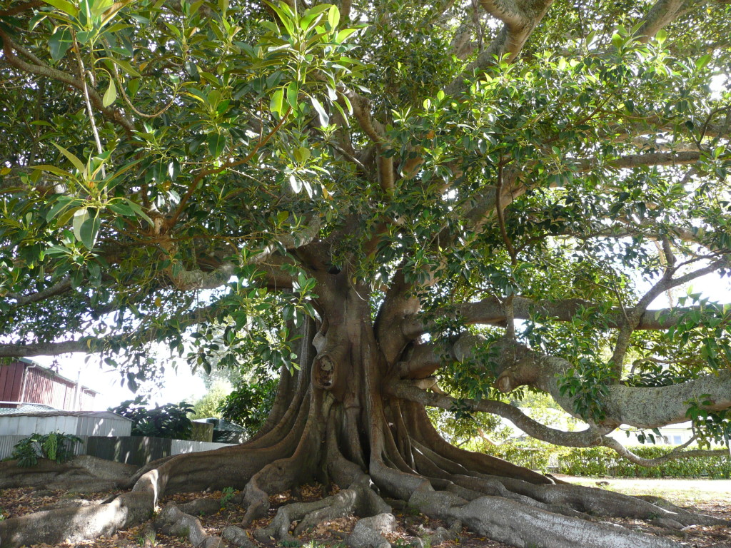 P1140326