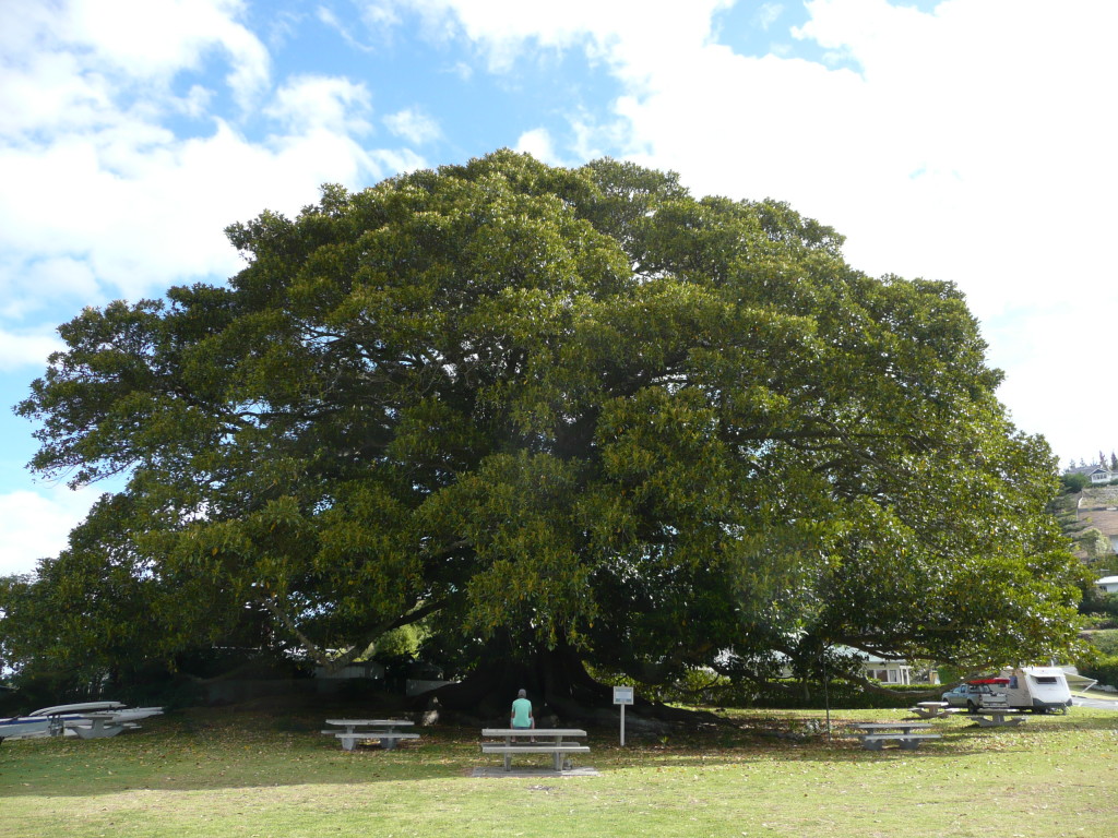 P1140328