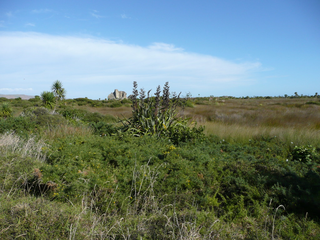 P1140361