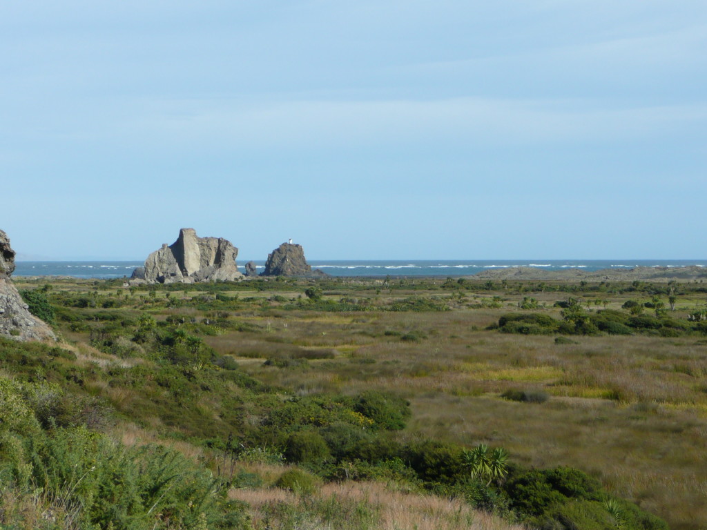 P1140369