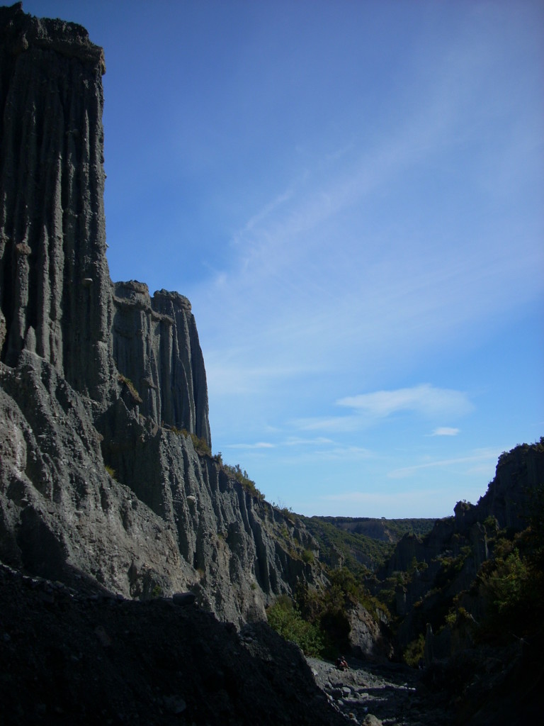 DSCN4452